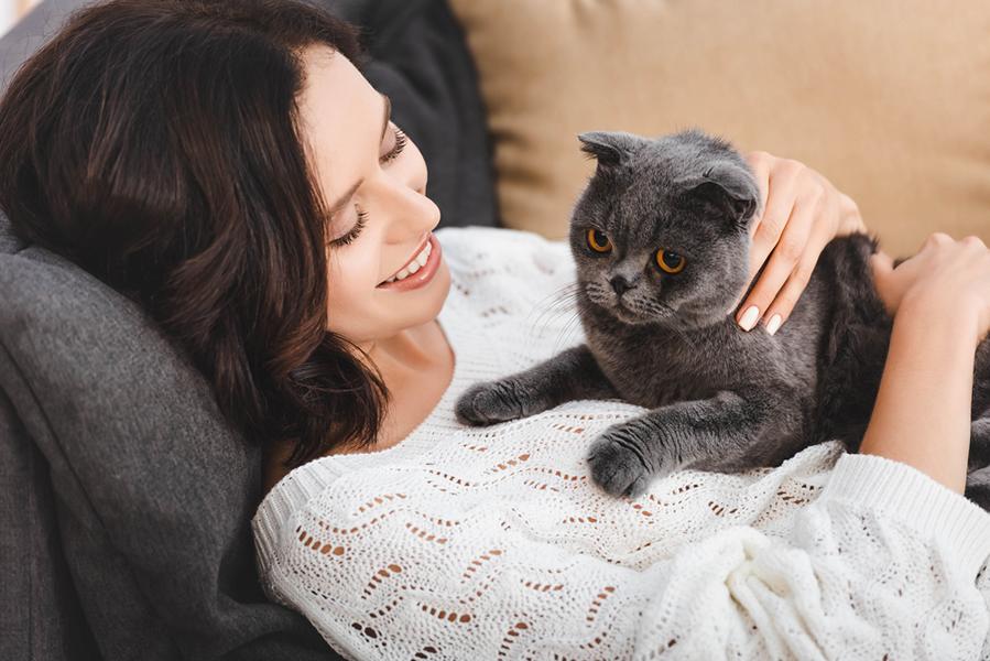 Frau liegt mit einer brittischen Faltohr-Katze auf dem Sofa