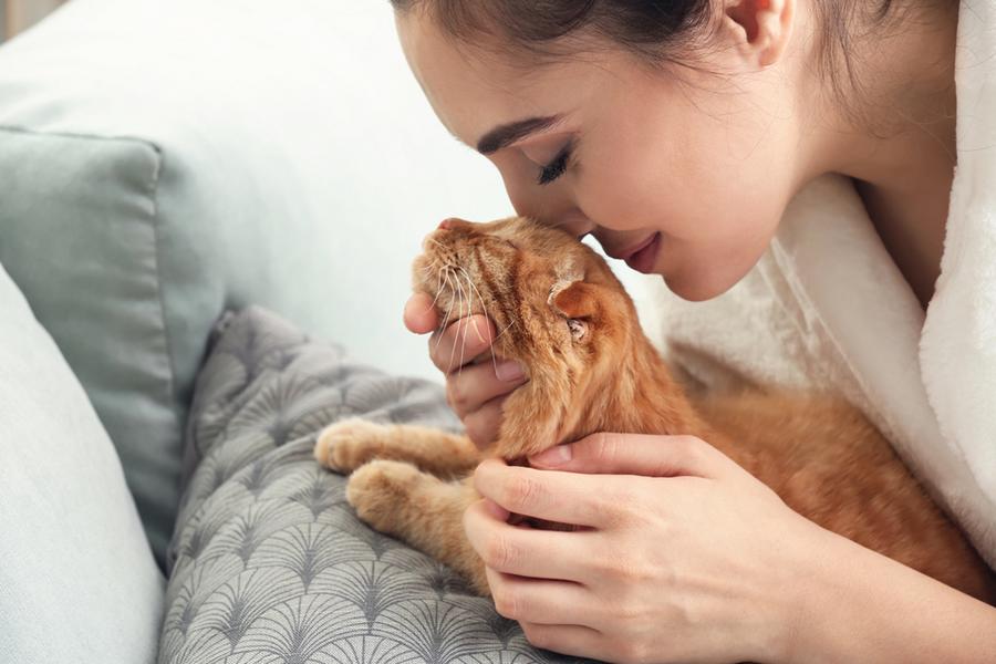 Junge Frau schmiegt ihren Kopf an eine Katze