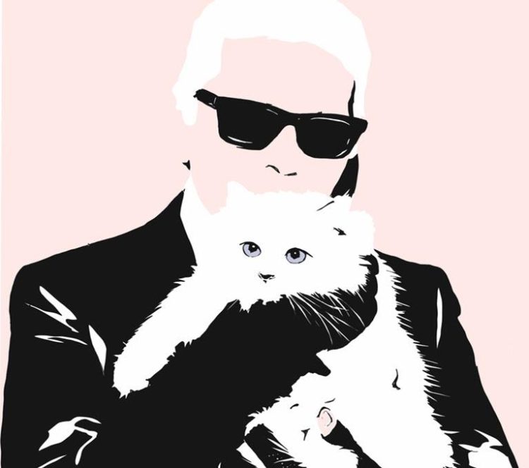  Wie sieht eine normale Katze aus? 