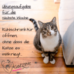 uebungsaufgabe kuehlschrank katze