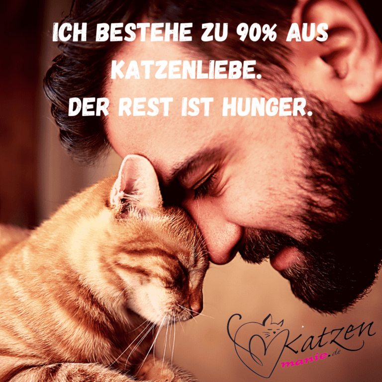 Katzenliebe Katzenmanie.de