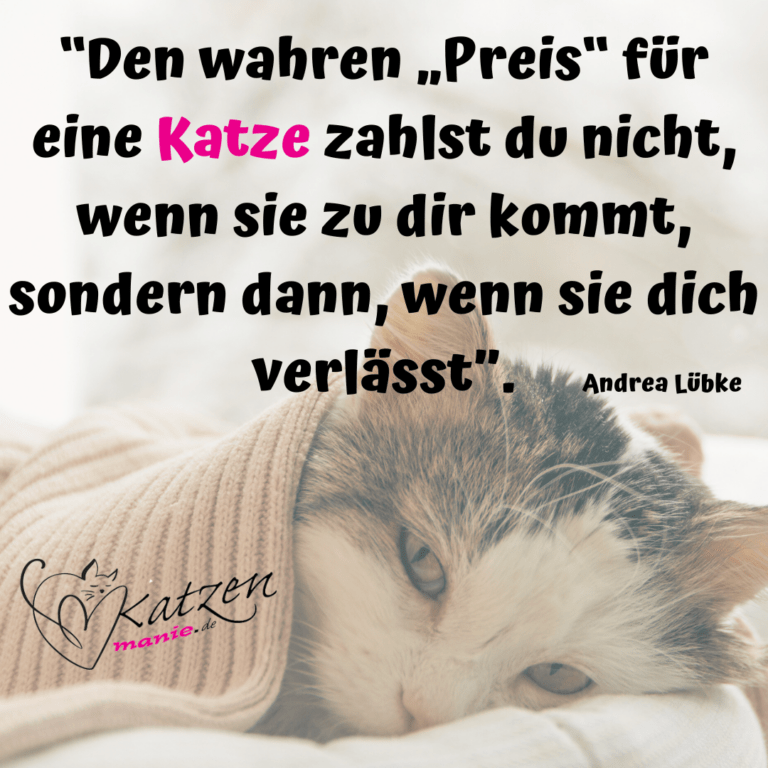 Ökonominnen Decken Auf: Der Wahre Preis Chinesischer Exporte Für Deutsche Arbeitnehmer. - zpsp5z8