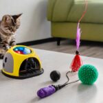 elektrisches-Katzenspielzeug-tipps