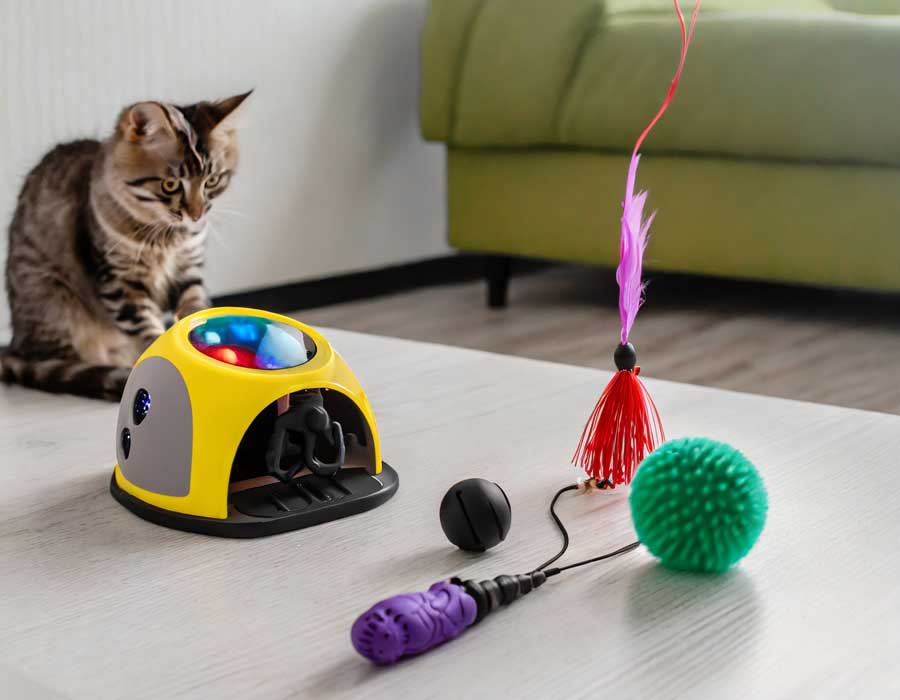 elektrisches-Katzenspielzeug-tipps