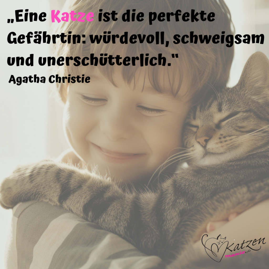 Katzensprüche Lustige & Weise Worte über Katzen