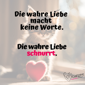 Die wahre Liebe macht keine Worte. Die wahre Liebe schmurrt.