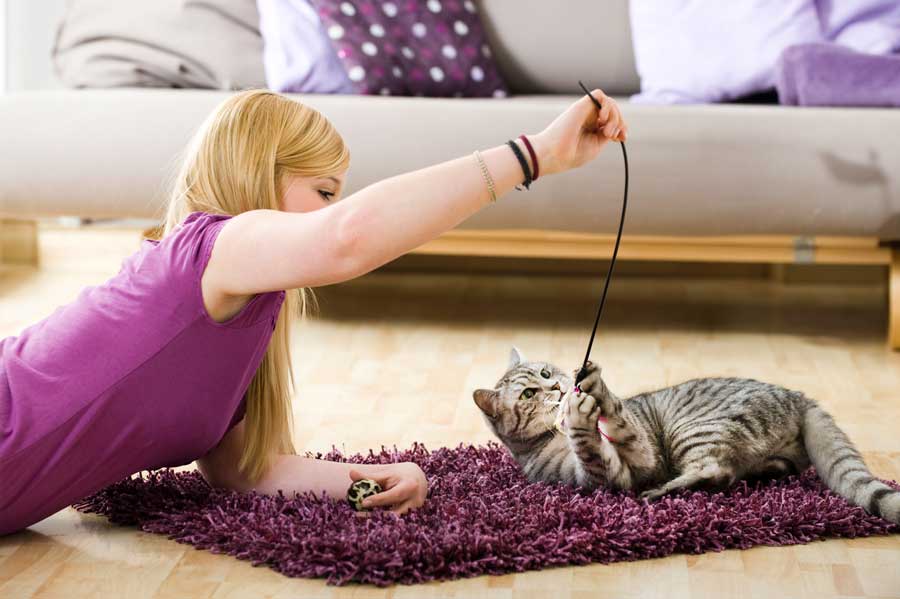 mit-katze-spielen
