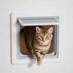 PetSafe Haustierklappe mit Mauserkennung installiert in einer Haustür mit einer Katze, die hindurchgeht