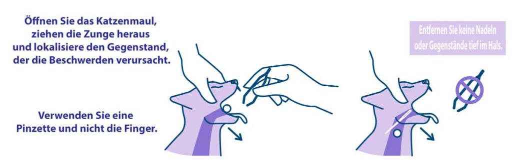 gegenstand-aus-katzenhals-entfernen