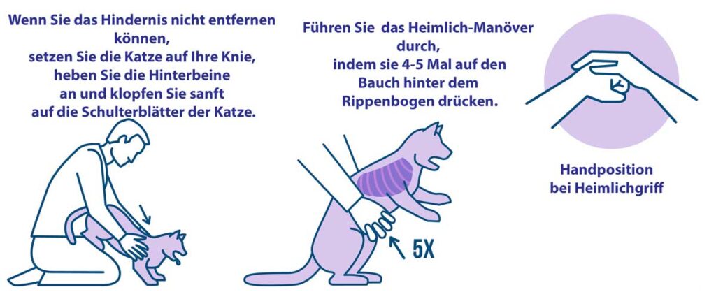 heimlich-manoever-katze