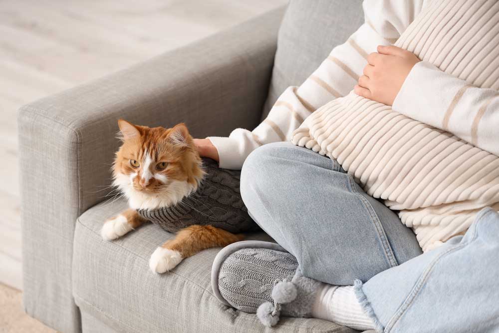 was-schenkt-man-katzenmenschen